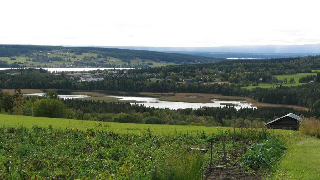 Ändsjön Ett våtmarksområde på Frösön Ändsjön ligger i ett kuperat jordbrukslandskap i Storsjöbygden och är tack vare sin närhet till Östersund ett omtyckt rekreationsområde.