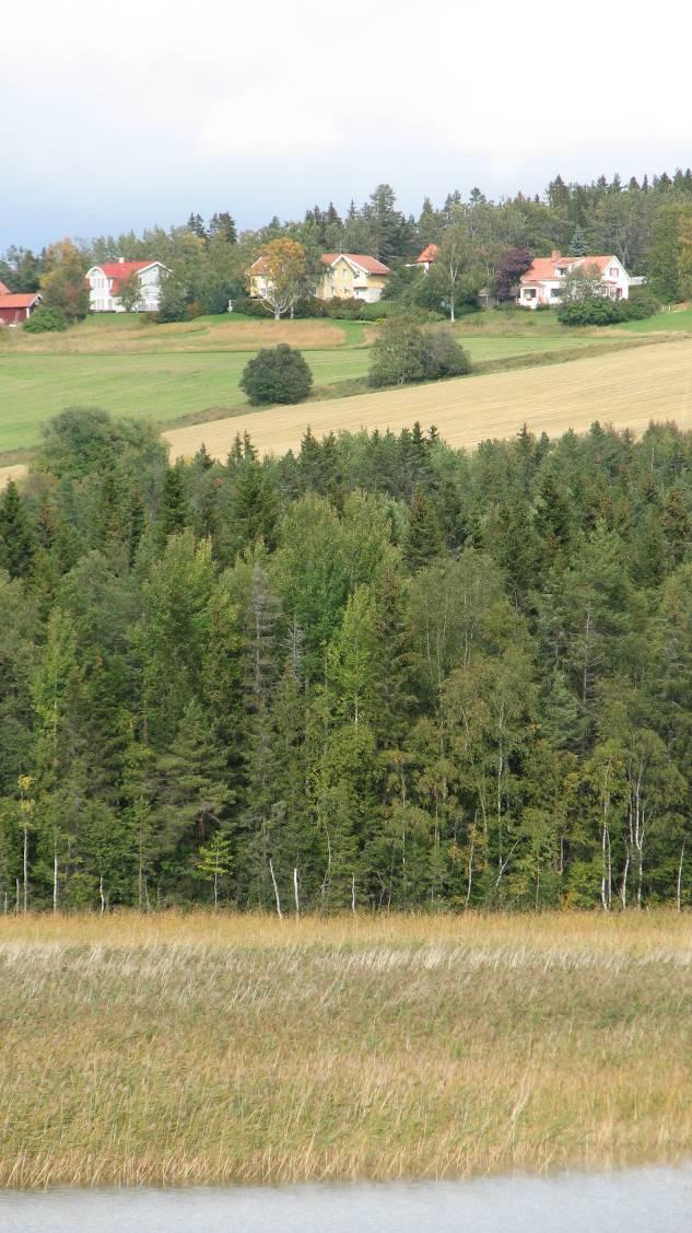 Förankring Det är mycket värdefullt att alla sakägarna känner sig delaktiga i ett lokalt naturvårdsprojekt.