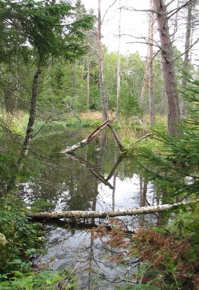 2. Sedimentfällor Sedimentationsfällor har anlagts strax uppströms Ändsjön. Dessa bör underhållas och skötas så att dess ursprungliga funktion bevaras.
