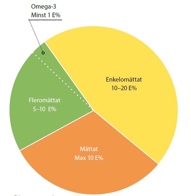 Hur mycket fett är lagom?