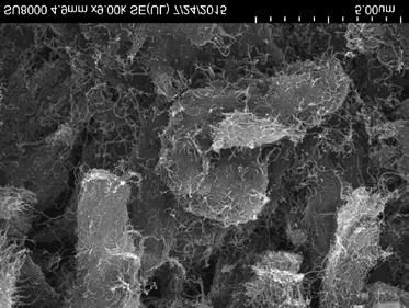 Elektronmikroskopibilder av kolnanorörsaggregat (a) uppsamlat i andningszonen under öppen hantering av kolnanorörspulver vid arbetsuppgift Nr 2 samt (b) som ytkontamination i laboratoriet uppsamlat