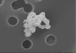 av NIOSH föreslagna gränsvärdet på 300 µg/m 3 för titandioxid i nanoform.
