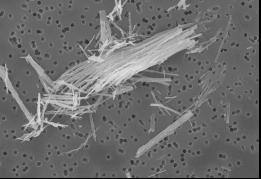 (a) Figur 11. Elektronmikroskopibilder. (a) Nanofiber av TiO 2 uppsamlad i andningszonen hos den anställda vid blandning av ytbeläggning innehållande nanofiber av TiO 2 (arbetsuppgift Nr 1).