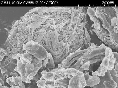 Nanofiber av titandioxid detekterades på en arbetsplatsyta (Figur 12). (b) Figur 12. Elektronmikroskopibild av nanofiber av TiO 2 som ytkontamination på en arbetsplatsyta.