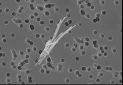 Utvärdering av mätmetoder och exponeringsmått för tillverkade nanopartiklar 3.7.