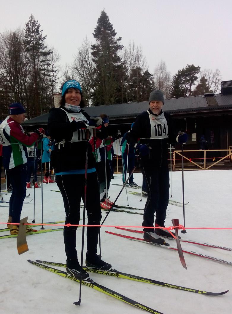 Vårsol på årets 4-timmars Lagom till starten av årets 4-timmars på skidor sprack molnen upp och solen strålade. Talgoxen passade på att signalera sina vårkänslor.