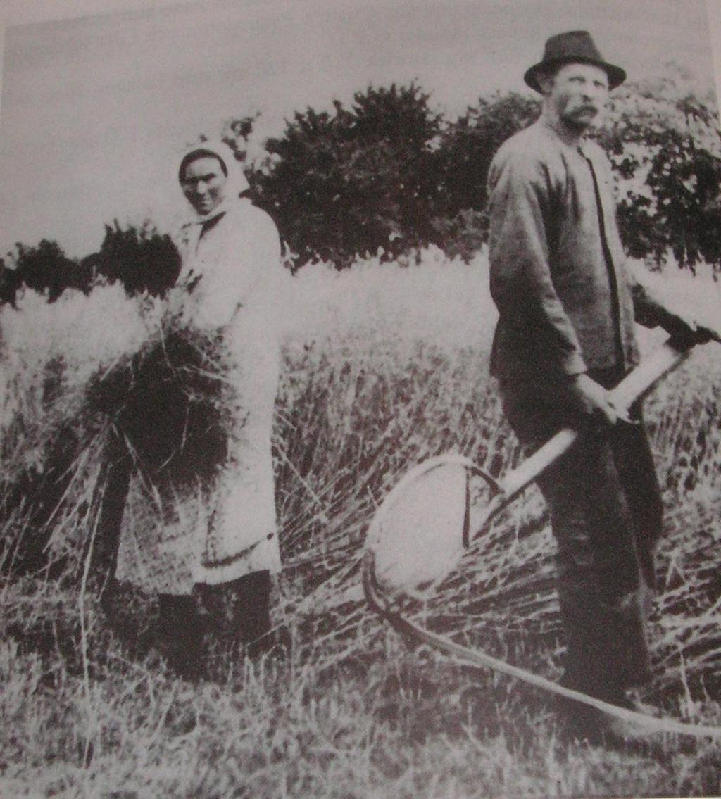 Ada och Karl-Johan Blomqvist skördetid