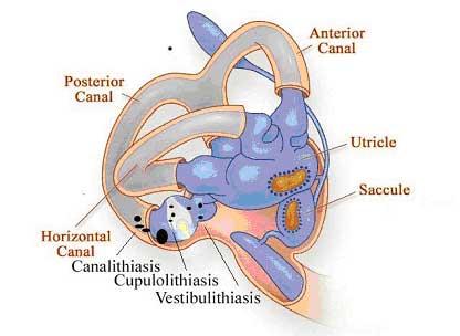 geriatriskt syndrome (Hindfeldt-91, Tinetti et al 2000)