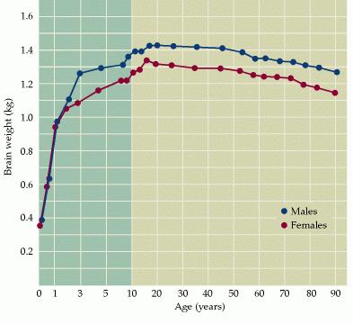 Age &