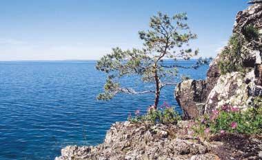 8 Skog, slätt och sjö I Motala kommun kan du hitta nästan alla svenska naturtyper och här möts arter med både nordlig och sydlig utbredning. En mångfald av växter och djur hör hemma i Motalas natur.
