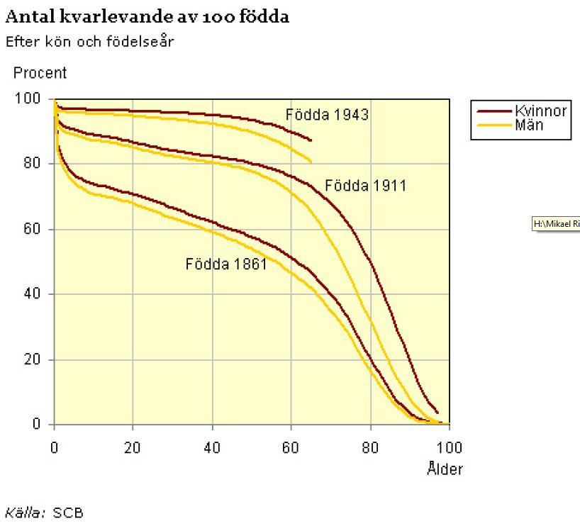 Rektangularisering