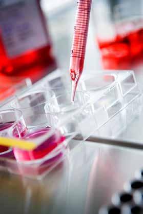 Gothia Forum for clinical research Point of contact We facilitate collaboration between healthcare, academia and industry.