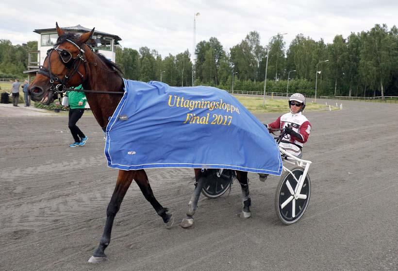: LOPP Westra Wermlands Sparbank - FINAL -åriga och äldre. 00 m. Voltstart. startande. Pris: 0.000-0.000-.000-.00-.000-.00 ( priser) hästskötare. Hederstäcke till segrande häst.