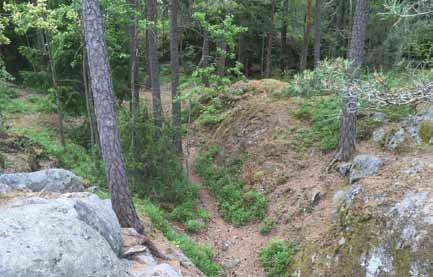 4 Hökarägsskoge Beskrivig Karaktär och storlek: Naturpark 7,7 ha Iehåll: Hökarägskoge som ligger både i Hökaräge och Farsta är ett aturområde med skala, spektakulär med ravier och vild karaktär.