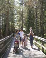 se, www.jarvzoo.se Jarseost, Järvsö Gården drivs av den 14:e genarationen och från att ha varit ett jordbruk med mjölkdjur så är nu inriktningen mejeri, växtodling, ungdjur och skog.