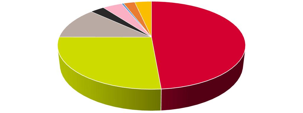 2 Ärenden 2017 Patientnämndens ärenden 2013-2017 740 730 720 733 710 700 710 690 680 670 681 692 693 660 650 2013 2014 2015 2016 2017 Antal ärenden per förvaltning 2017 Hälso-och sjukvård: 337