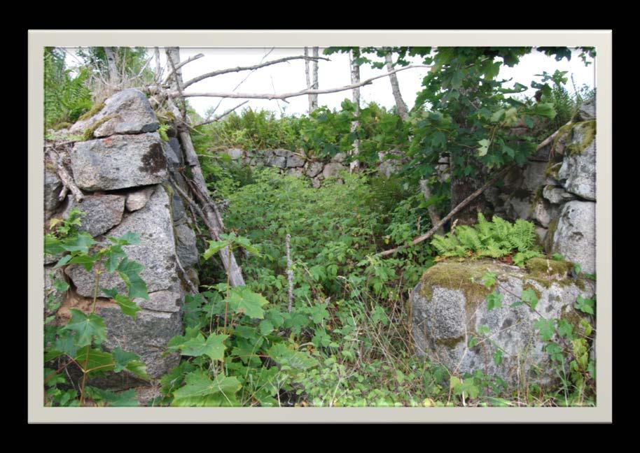 Besök vid husgrunden från Karl Petsa-stället i Blåsås 2012-09-06 tillsammans med Vad har jag för anknytning till dessa bygder? säger Ingvar. Lite släkthistoria först.
