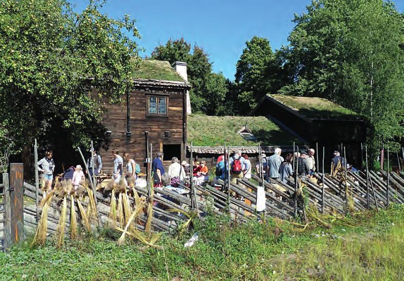 Där strövade besökarna omkring för att ta del av blekingarnas aktiviteter.