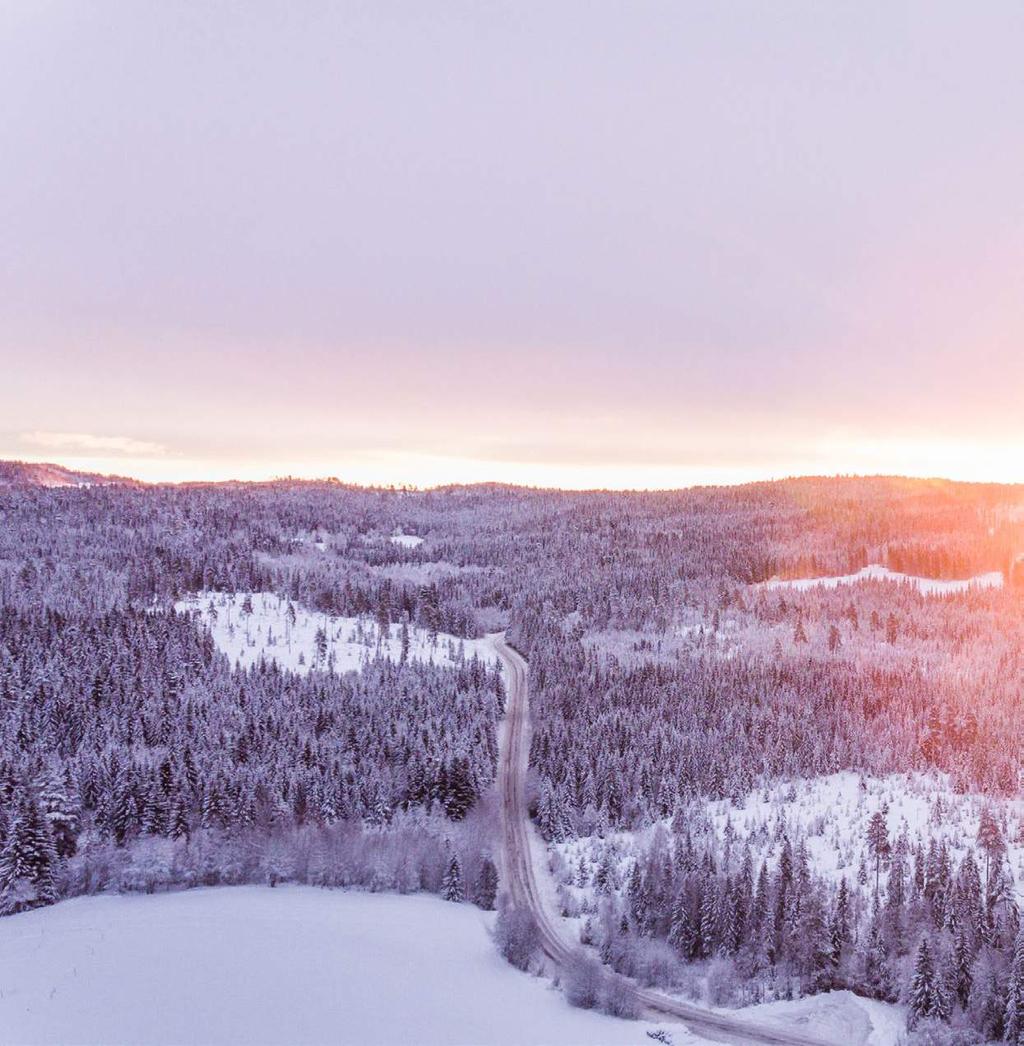 Ordföranden har ordet Ett nytt år har inletts men innan vi vänder blad så kan det vara på sin plats att göra en reflektion över året som gått. Har vi uppnått våra mål?