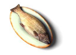 Tips på fisksorter som är godkända att äta ur ett miljöperspektiv Abborre Alaska pollock Blåmusslor Gös Kolja Krabba
