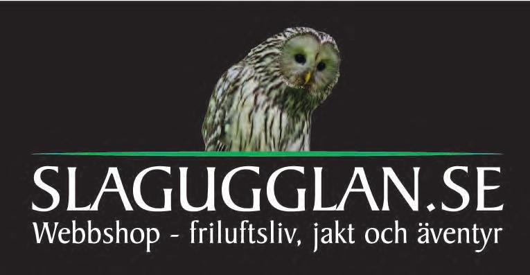 se Ecke Hedbergs Konstnärshem TALLBO Ett unikt konstnärshem.
