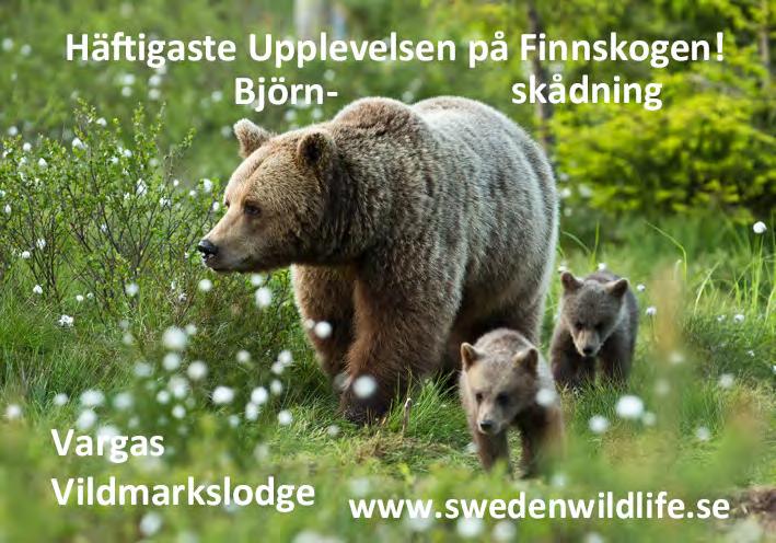 12-16) eller enligt