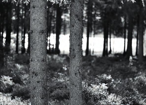 FRISKVÅRDSPROJEKT 110