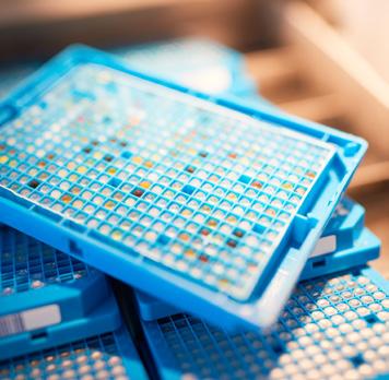 MÅLPROTEIN & VERKTYGS-ANSKAFFNING Produktion av högkvalitativ målproteiner Uppnå screening och analysverktyg (peptider, föreningar, antikroppar) Första testning av proteinkvalitet och verktyg