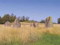 HAGBARD GALGE Någon har påstått att detta är Hallands svar på det engelska Stonehenge! Här står fyra gåtfulla stenar, av olika bergarter, med spännande hällristningar.