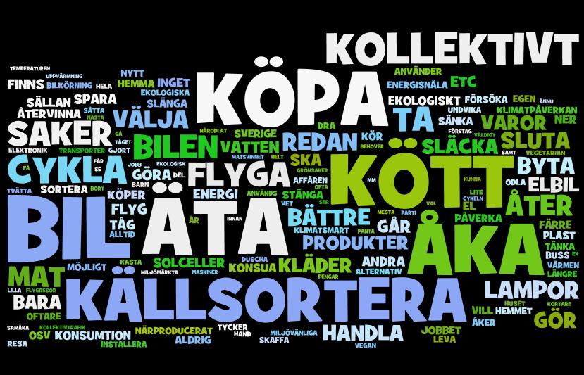 INSATSER FÖR MINSKAD KLIMATPÅVERKAN OCH ENERGIANVÄNDNING På den öppna frågan: Nämn några saker du kan göra i hemmet för att minska din klimatpåverkan och energianvändning har respondenterna med egna