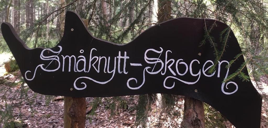 Titta på stubbarna, runt många av dem växer väldigt fina grå bägarlavar och smala syllavar.