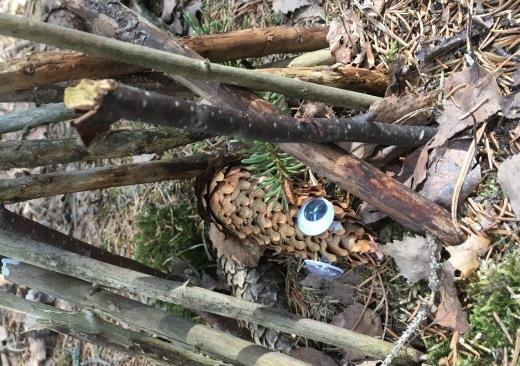 Att förbereda: Läs gärna en saga som handlar om troll och annat småknytt i skogen. Fantisera om hur de lever och vad de gör i skogen på dagarna och kanske nätterna. Läs t.ex. Elsa Beskows böcker.