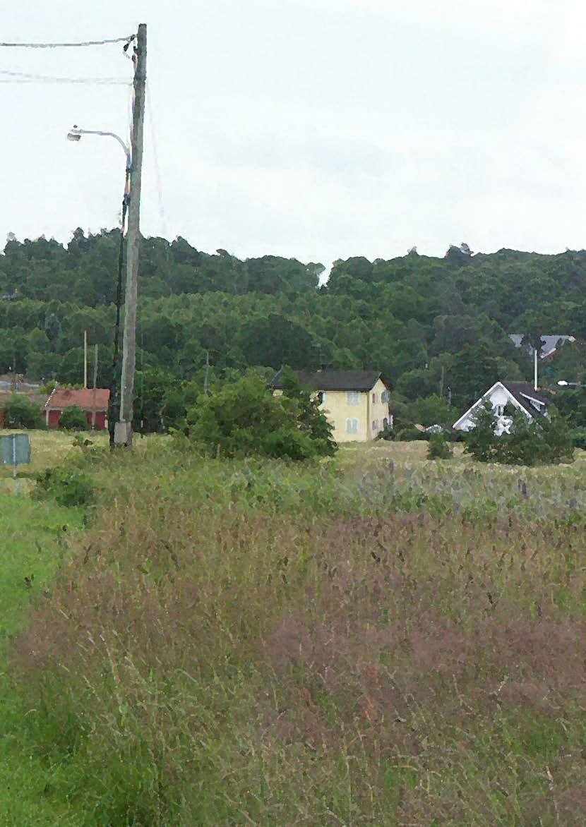 XX Utredningsområden norr om brottkärrsvägen Mattias Öbrink Rapport 2007:51 Utredningsområden norr om