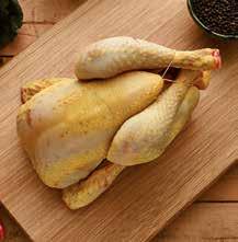 DRUMSTICKS kronfågel Kycklingben "Drumsticks", med skinn, 60-100 g Sverige