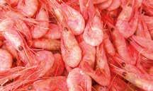kg/krt 249. 00 Island 02276 5 kg/krt 179.