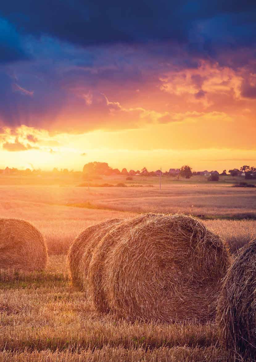 Eftersom naturen genom den kontinuerliga evolutionen tar fram de bästa lösningarna användes för första gången i företagets historia naturen som
