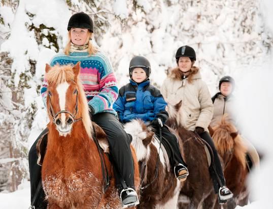 Hästhållning i Sverige 2016 Vanligast är att landets hästhållare håller alla eller några av sina hästar i stall med