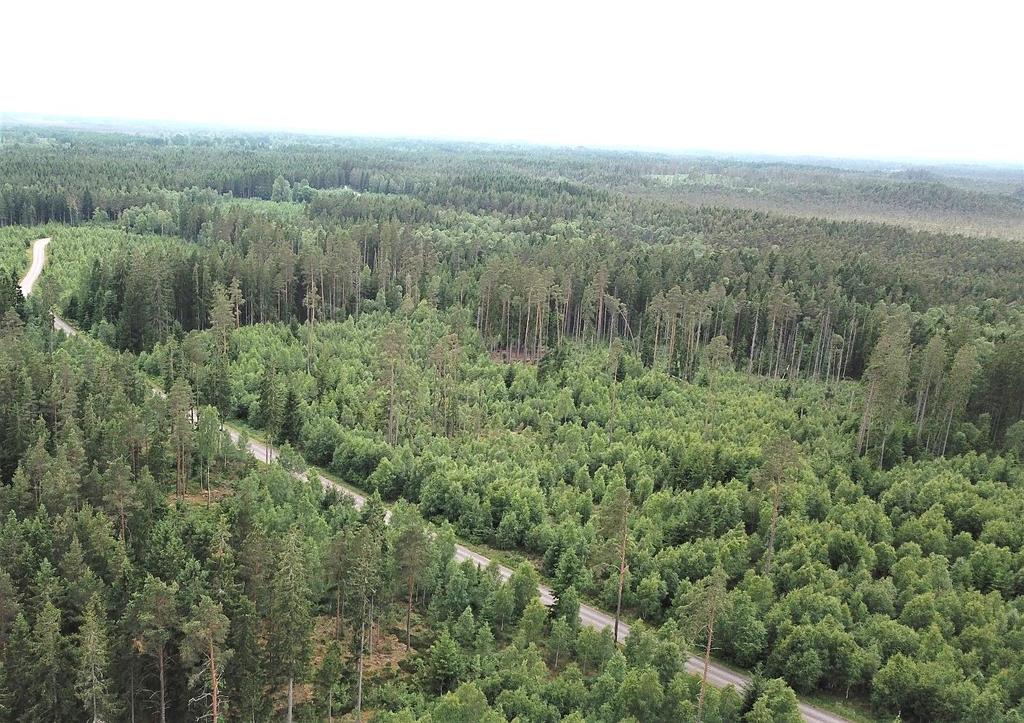 Om Skog & Lantbruk Skog & Lantbruk är ett rådgivningsföretag som arbetar med följande tjänster: - Fastighetsförmedling - Generationsskifte - Marknads-/avkastnings-/intrångsvärderingar -