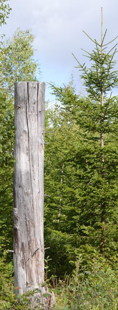 Försäljningssätt Förfarande Egendomen säljs via anbud som ska vara mäklaren tillhanda senast 2018-04-30. Märk anbudet Hannabad. Till anbudet skall bankreferens eller motsvarande lämnas.