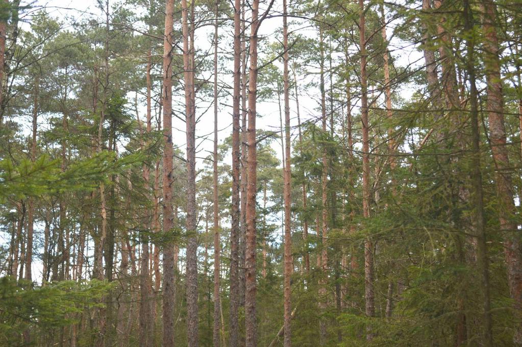 Förvärvstillstånd Förvärvstillstånd krävs ej för person. För juridisk person (t.ex. aktiebolag) krävs förvärvstillstånd.