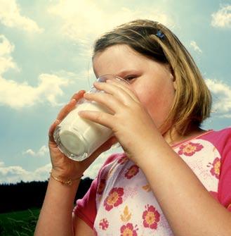 hösten 2006 har SLF presenterat den nya modellen för flera av finansiärerna på deras egna mötesplatser. Finansieringsmodellen förväntas vara klar i juli 2007.