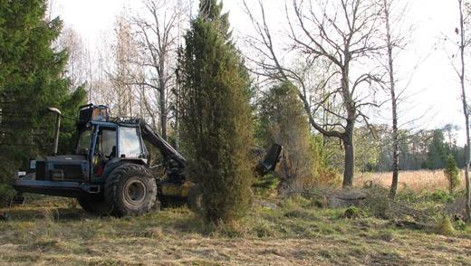 Restaurering 10 800 ha restaurerade