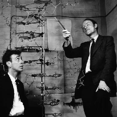 TANKEKEDJAN Francis Crick och James Watson Möttes på