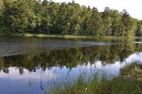 Alla åldrar Steningekustens naturreservat Telefon 010 224