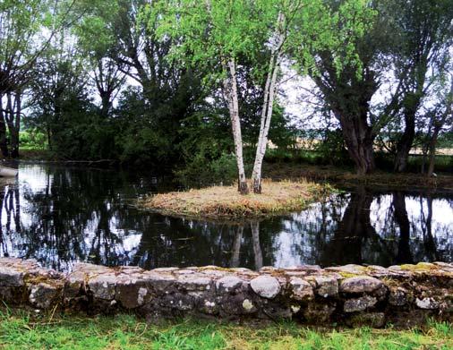 V2 - Damm och bäck Avser vatten i parker eller på torg som inte behandlas med kemikalier och som utgör goda livsmiljöer för växt- och djurliv.