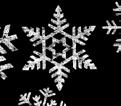 Anmälan till 060-19 18 28 Vinterpyssel med Madde Vi gör snöstjärnor av papper Fredag 28/12, kl 13.00 15.00 Barn- och ungdomsbiblioteket, Kulturmagasinet För barn från 6 år.
