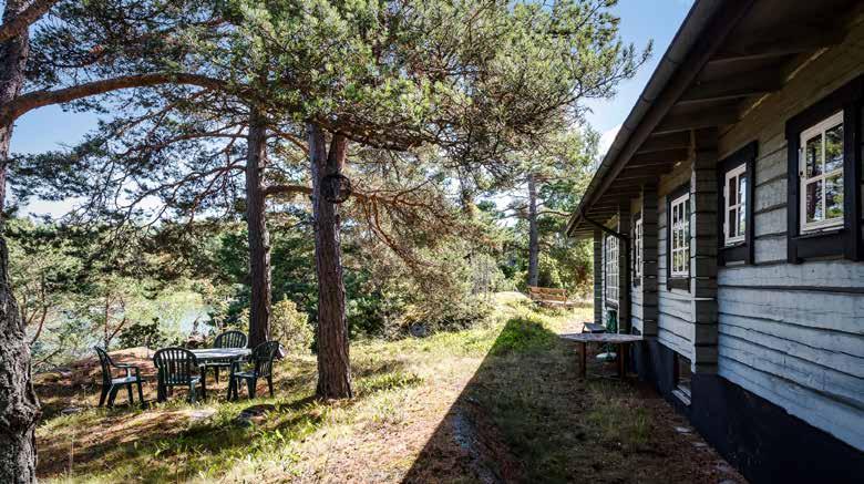 »VACKER NATUR.«Längst ut på Björkös sydspets ligger Skeppsmyra och ända ut mot Lidöfjärden ligger Skaten. Skaten är en smal halvö med en liten snirklig väg ut.