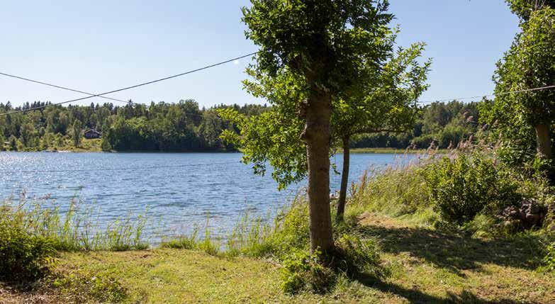 Högst upp på tomten ligger den lilla stugan och nedanför en fin tomt som sluttar svagt mot vattnet och den egna stranden. Tomten ligger i ett fantastiskt västerläge i utkanten av Edeby på Väddö.