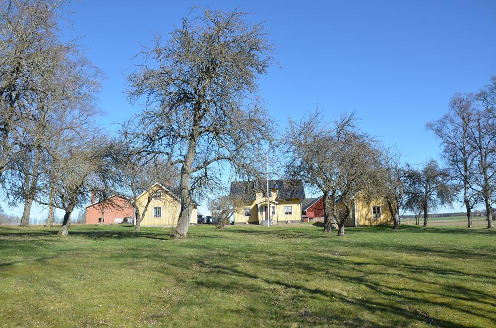 JORD OCH SKOGSFASTIGHET - SKÖVDE - PRIS: 11 600 000 KR ELLER HÖGSTBJUDANDE Fastighet Fastigheten Skövde Pederstorp 1:8 Adress Jord och skogsfastighet strax Ö om Skövde Arealer Taxeringsvärde Ekonomi