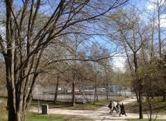 Vy mot kuperad terräng i norr. Lek och rekreation Solskensparken med en lekplats och en fotbollplan ligger 250 meter sydost om planområdet vid Nyängsvägen.